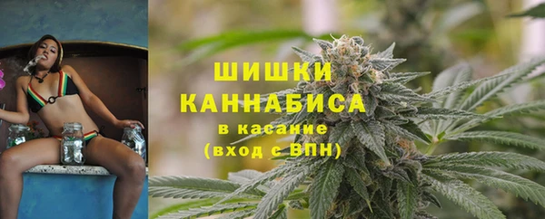 ешки Осинники