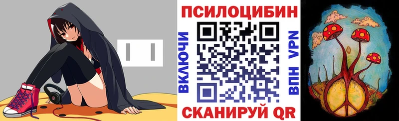 где найти   Волжск  Псилоцибиновые грибы Psilocybine cubensis 