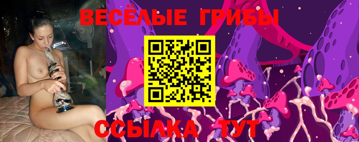Галлюциногенные грибы GOLDEN TEACHER  Вход с VPN  Волжск 